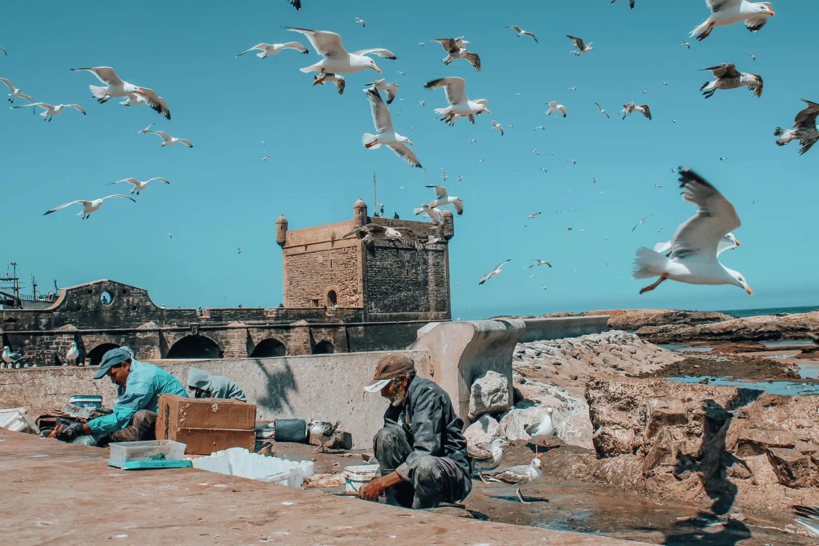 Excursión de 1 Día de Marrakech a Essaouira