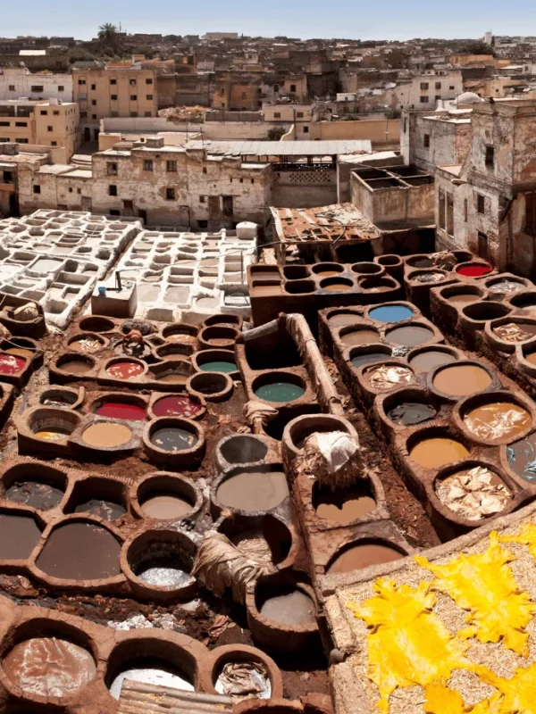 Fes Tours
